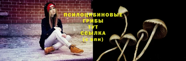 синтетический гашиш Бородино