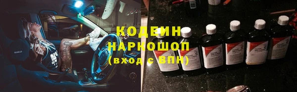 сатива Покачи