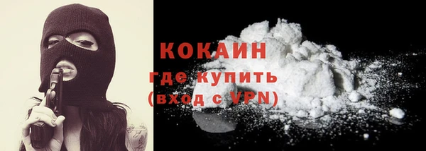 прущие грибы Бронницы