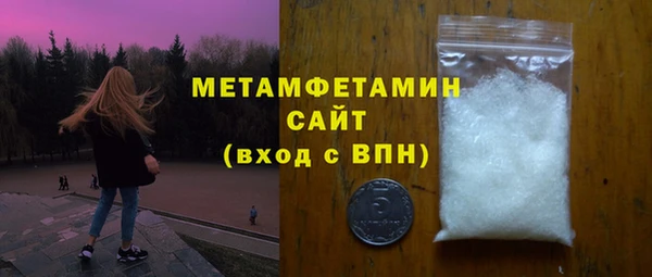 прущие грибы Бронницы