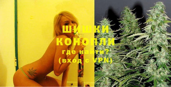 прущие грибы Бронницы