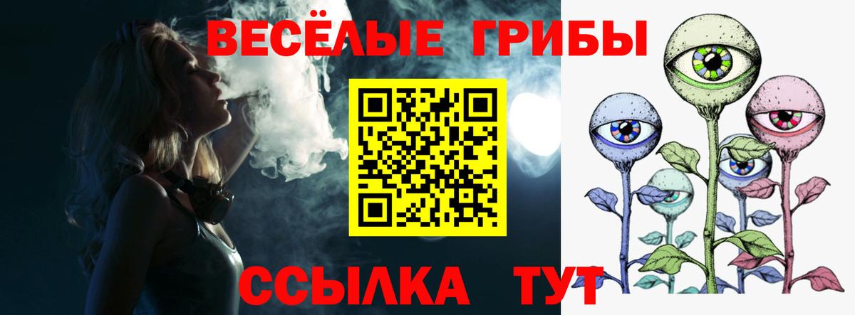 Псилоцибиновые грибы Magic Shrooms Рузаевка
